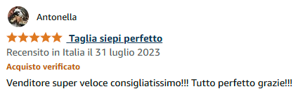 Screenshot 2025-05-30 131645